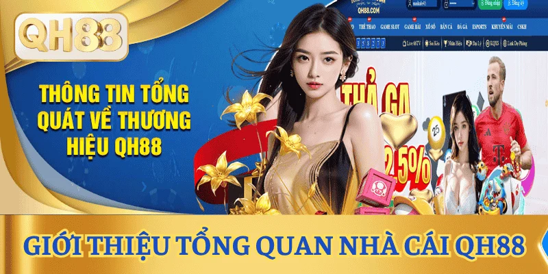 gioi-thieu-qh88-tong-quan